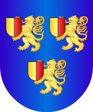ESCUDO SIGUIENTE